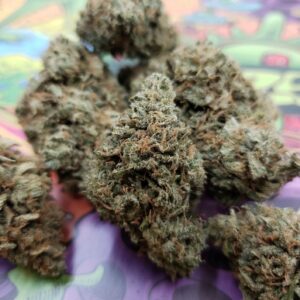 Sweet Remedy (Indoor)