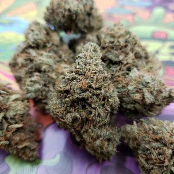 Sweet Remedy (Indoor)