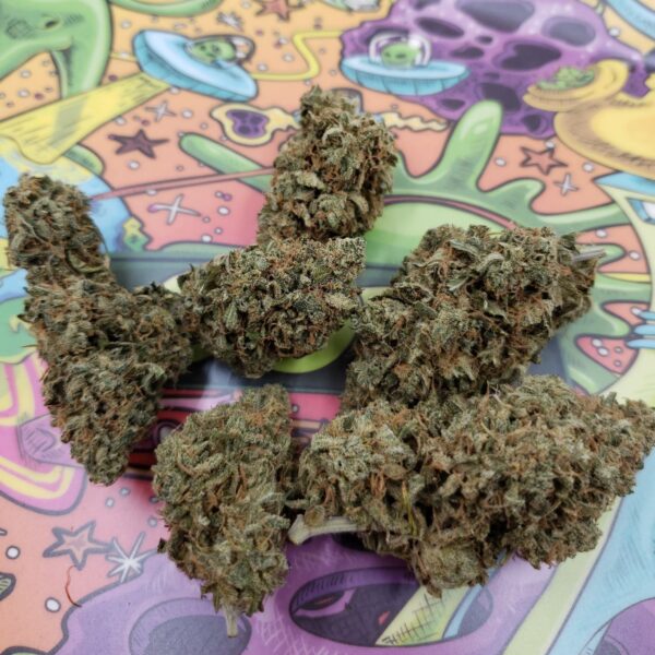 Sweet Remedy (Indoor) - Image 3