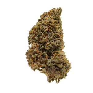Legendary (Outdoor)