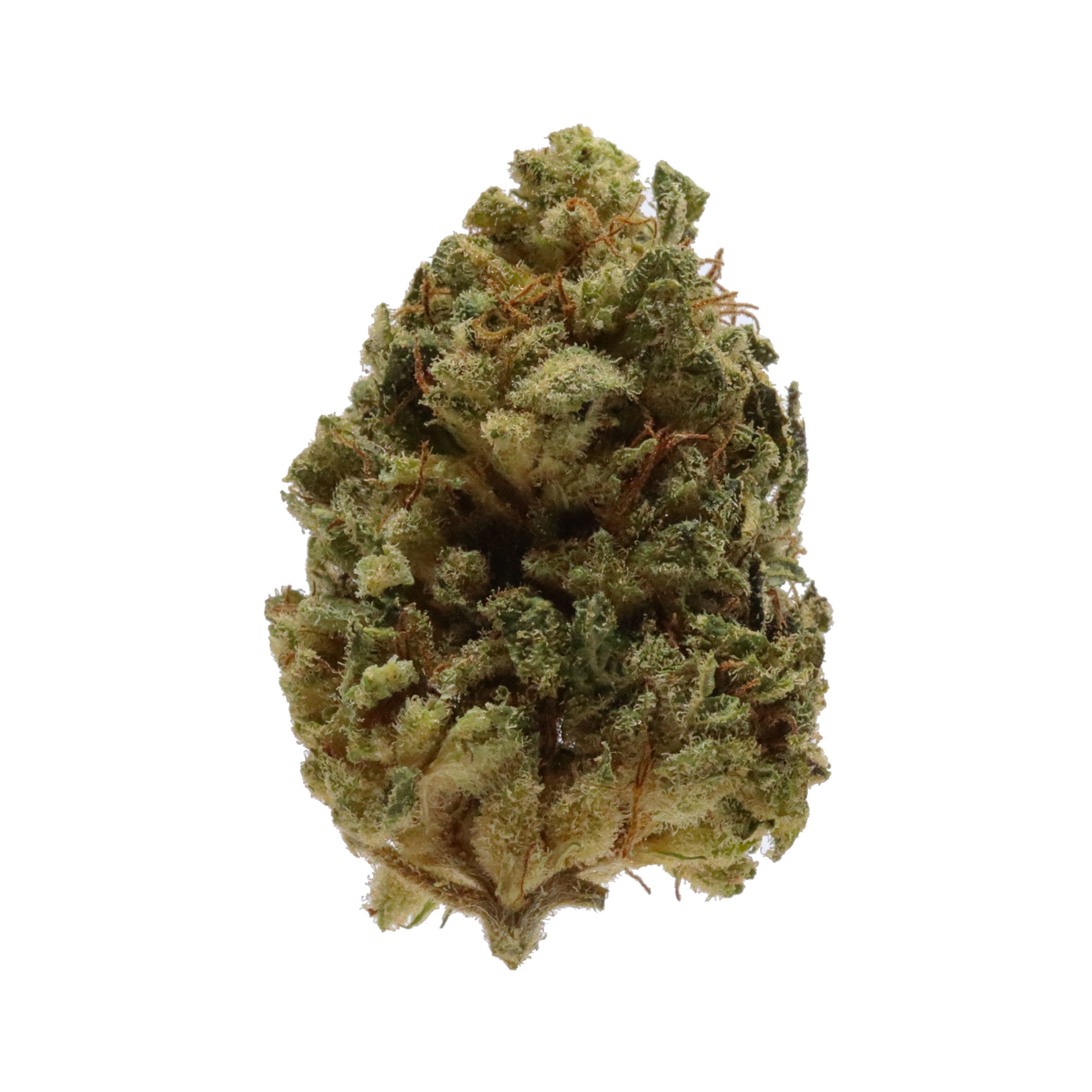 Sour Lemonhead Kush (Outdoor) - Image 2