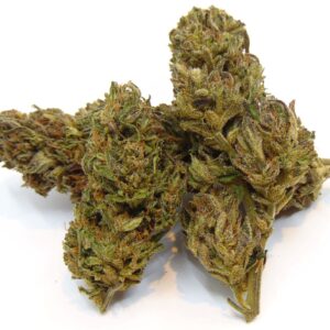 Hawaiian Haze (Greenhouse)