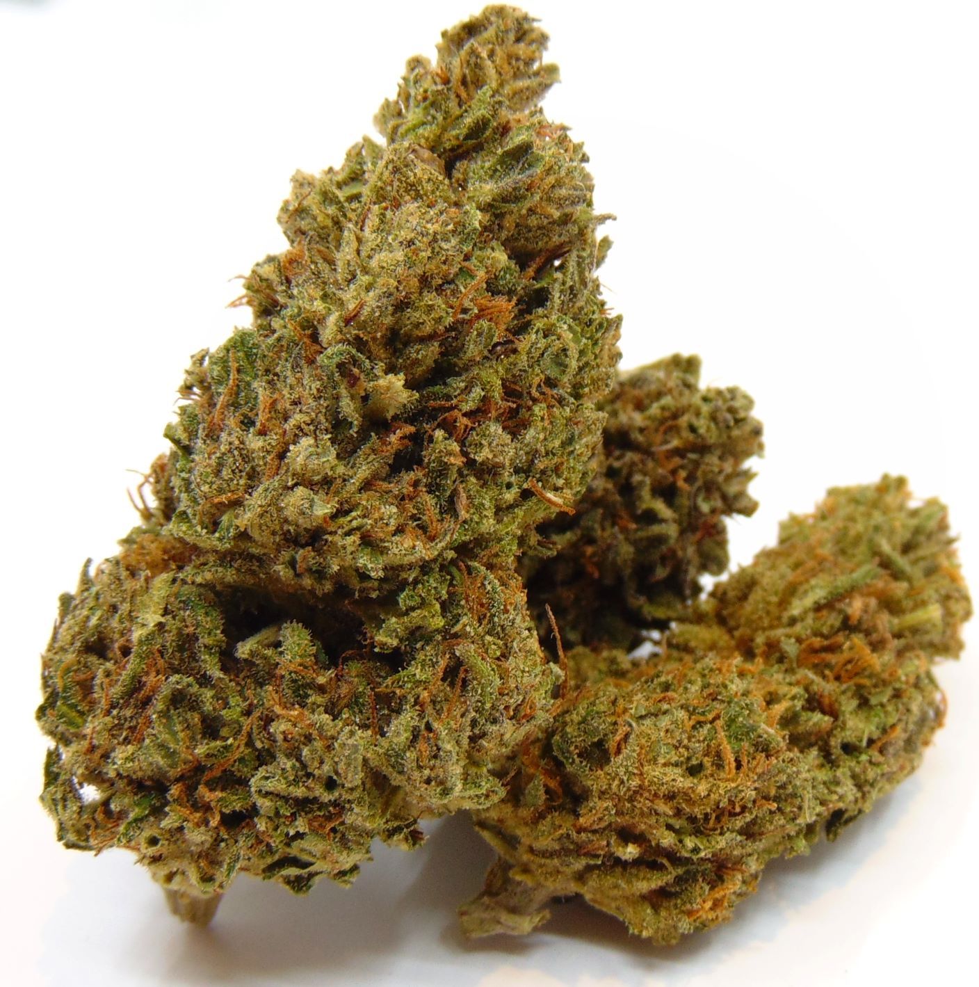 ADK Hawaiian Haze (Outdoor) - Image 2