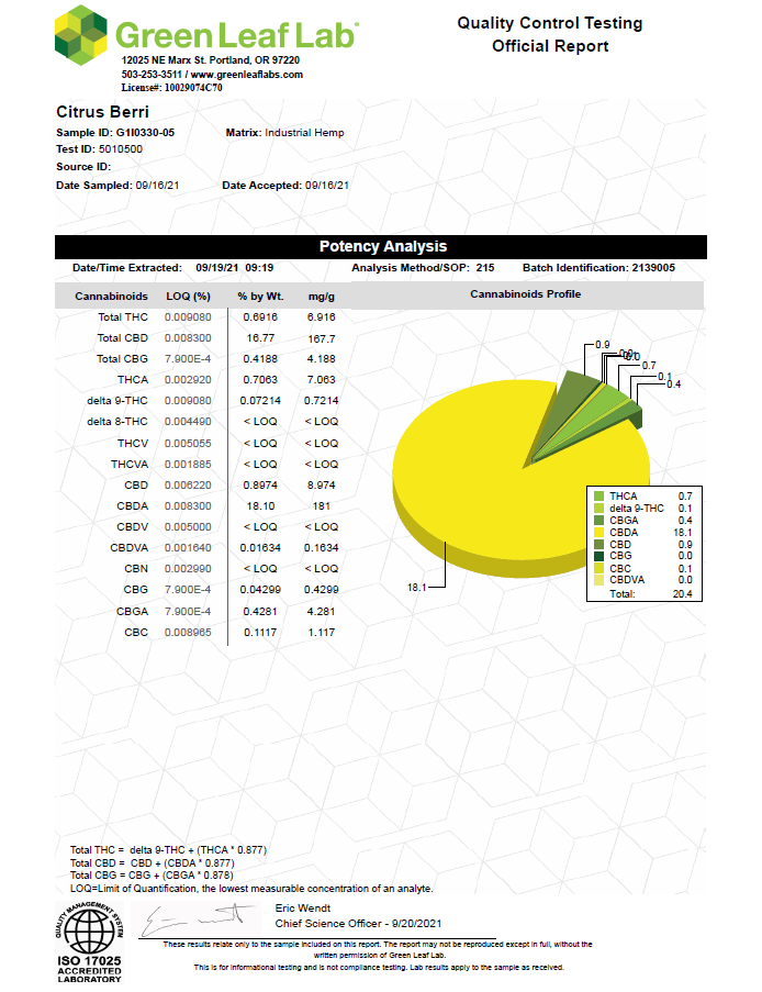 Citrus Berri (Indoor) - Image 4