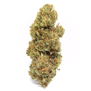 Forbidden V CBDV (Outdoor)