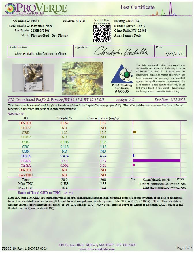 ADK Hawaiian Haze (Outdoor) - Image 3