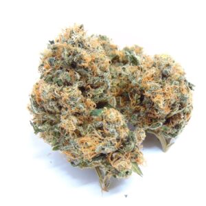 Rocket Fuel (Indoor)