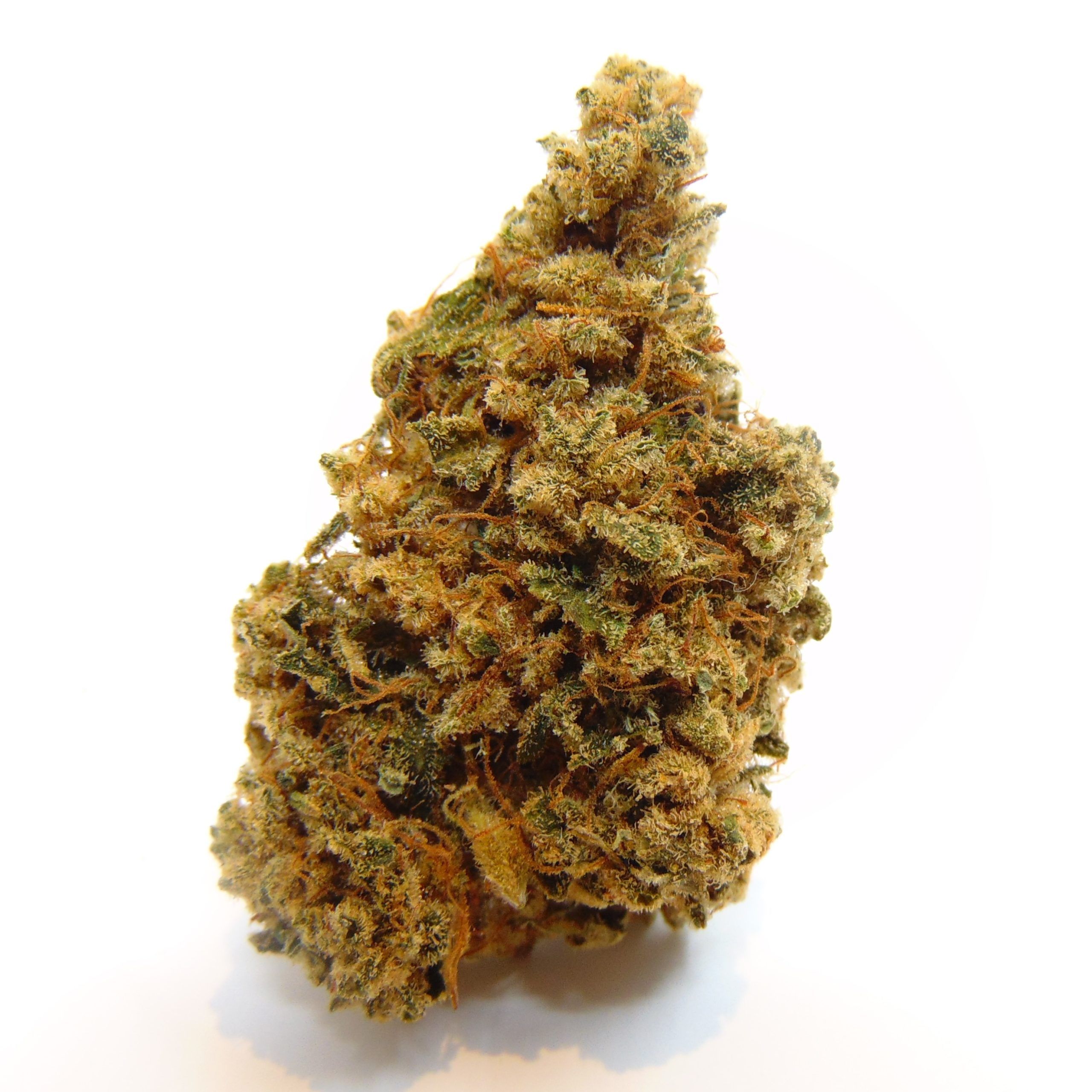 Superwoman (Indoor) - Image 4