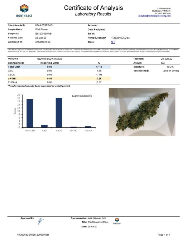 Sweet Remedy (Indoor) - Image 2