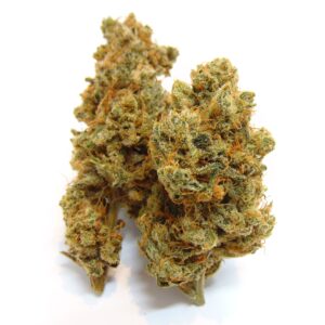 Ultraviolet (Indoor)