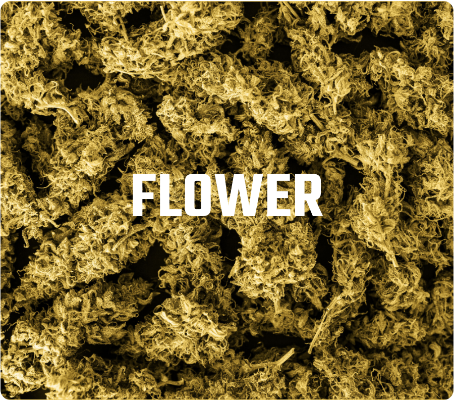 Flower Shop Category